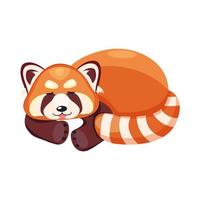 illustration vectorielle d'un panda roux endormi recroquevillé en boule, isolé sur fond blanc. vecteur
