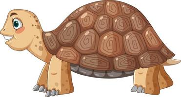 vue latérale d'une tortue avec une carapace brune en style cartoon vecteur