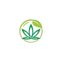 conception de logo de cannabis et de respect de l'environnement vecteur