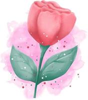 belle fleur rose à l'aquarelle vecteur