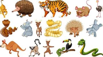 ensemble de différents personnages de dessins animés d'animaux sauvages vecteur