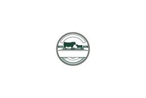 bétail de bétail angus rétro vintage pour vecteur de conception de logo de boeuf