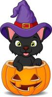 chat noir de dessin animé dans un chapeau de sorcière à l'intérieur dans la citrouille d'halloween vecteur