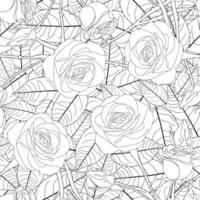 rose et feuilles contour sur fond blanc vecteur