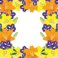 Lis orange jaune et bordure de fleurs d'iris bleu sur fond blanc2 vecteur