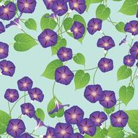 gloire du matin violet sur fond de menthe verte. illustration vectorielle vecteur