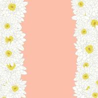 bordure de chrysanthème blanc vecteur