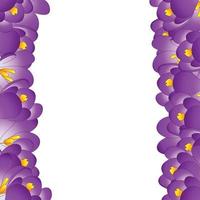 bordure de fleurs de crocus violet vecteur