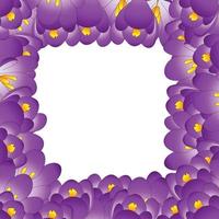 bordure de fleurs de crocus violet. vecteur