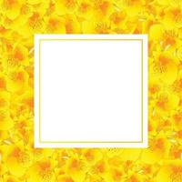 carte de bannière jaune canna lily vecteur