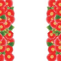 bordure alcea rosea rouge - roses trémières vecteur
