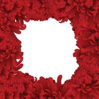 bordure de fleurs de chrysanthème rouge. vecteur