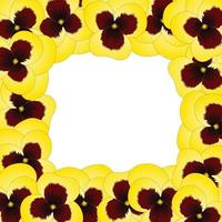 bordure de fleurs de pensée de jardin alto jaune. vecteur