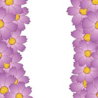 bordure de fleurs de cosmos rose vecteur