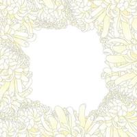 bordure de fleurs de chrysanthème blanc. vecteur