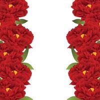 bordure de fleurs de pivoine rouge vecteur