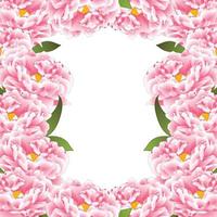 bordure de fleurs de pivoine rose2 vecteur