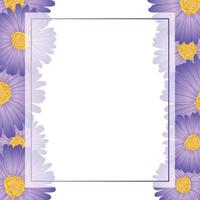 aster violet, bordure de carte de bannière de fleur de marguerite vecteur