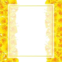 bordure de carte de bannière jaune canna lily vecteur