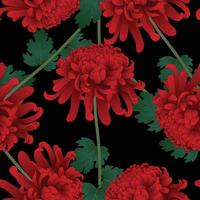 Fleur de chrysanthème rouge sur fond noir vecteur