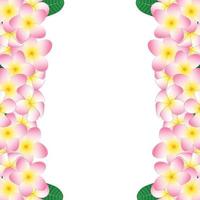 bordure de plumeria rose vecteur