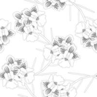 orchidée vanda miss joaquim sur fond blanc vecteur