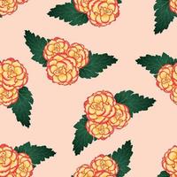 fleur de bégonia, picotee sunburst sur fond rose clair vecteur