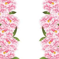 bordure de fleurs de pivoine rose vecteur
