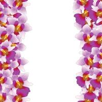 bordure d'orchidée violet vanda miss joaquim vecteur
