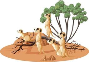 forêt désertique isolée avec groupe suricate vecteur