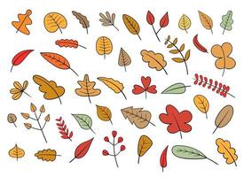 illustration de conception de vecteur de feuille d'automne isolé sur fond blanc