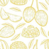 illustration vectorielle de mangue transparente motif vecteur