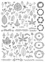 ensemble d'images vectorielles de fleurs de griffonnage dessinées à la main, de fleurs, de feuilles. dessin au trait. collection graphique avec des herbes des champs fantastiques. éléments botaniques pour la conception. couronnes, lauriers, diviseurs vecteur