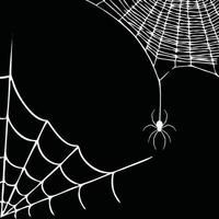 arrière plan toile d'araignée vecteur noir et blanc