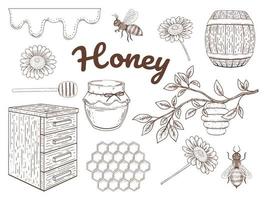 collection de miel dessiné à la main vecteur