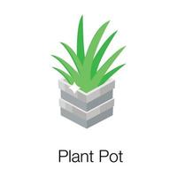 concepts de plantes d'aloès vecteur