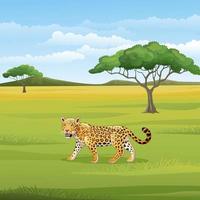 léopard de dessin animé dans la savane vecteur