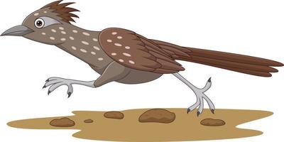 dessin animé roadrunner oiseau qui court sur la route vecteur