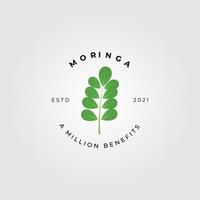 moringa oleifera , conception d'illustration vectorielle de logo d'arbre miracle, médecine naturelle , un million d'avantages vecteur