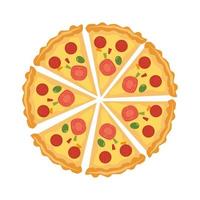 conception de vecteur de nourriture pizza isolée