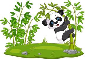 joli bébé panda drôle accroché au bambou vecteur