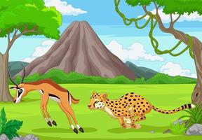 le guépard poursuit un impala dans une savane africaine
