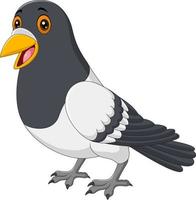 Pigeon drôle de dessin animé isolé sur fond blanc vecteur