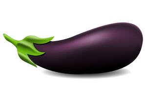 illustration vectorielle aubergine vecteur