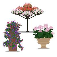 ensemble d'arrangements floraux