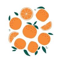 ensemble d'oranges dessinées à la main décorées de feuilles isolées sur fond blanc. bon pour les autocollants, les impressions, les cartes, les affiches, les bannières, la décoration du produit, l'emballage, etc. eps 10 vecteur