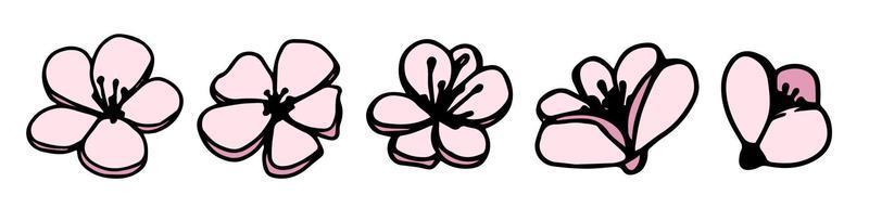 Vector set silhouettes de cinq fleurs de magnolia rose dessinés à la main isolés sur fond blanc. illustration vectorielle. fleurs de printemps doodle, illustrations