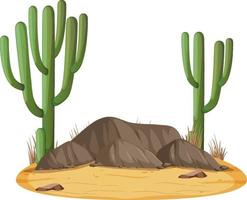 paysage désertique isolé avec cactus saguaro vecteur