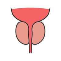 icône de couleur de la prostate et de l'urètre. organe du système reproducteur masculin. illustration vectorielle isolée vecteur