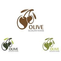 huile d'olive logo modèle icône conception santé fruits légume vecteur